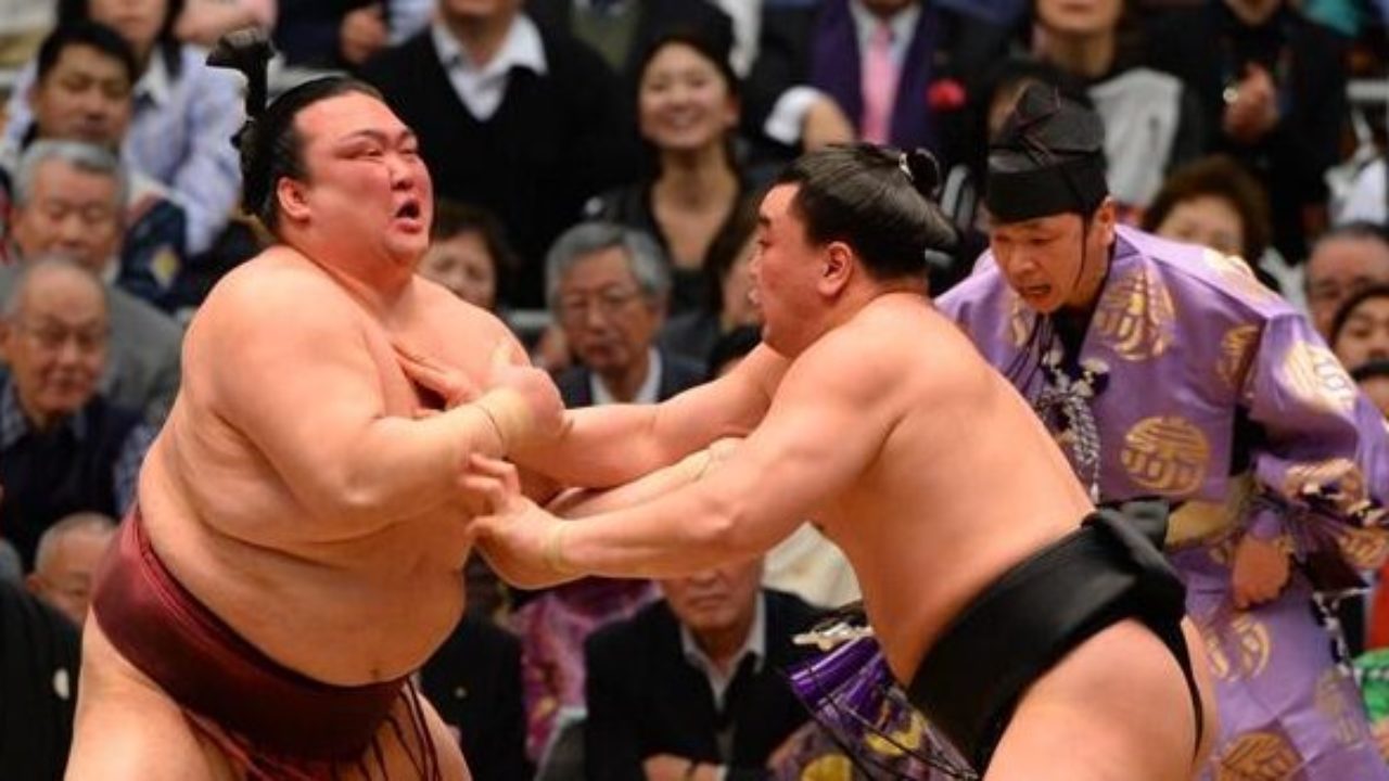 J14 Harumafuji Sort De La Course Dosukoi Le Site Du Sumo