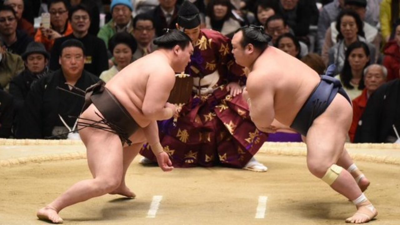 J2 Hakuho Et Terunofuji Rebondissent Dosukoi Le Site Du Sumo