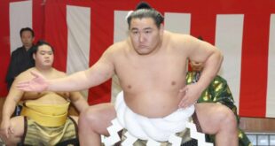 Hoshoryu yokozun