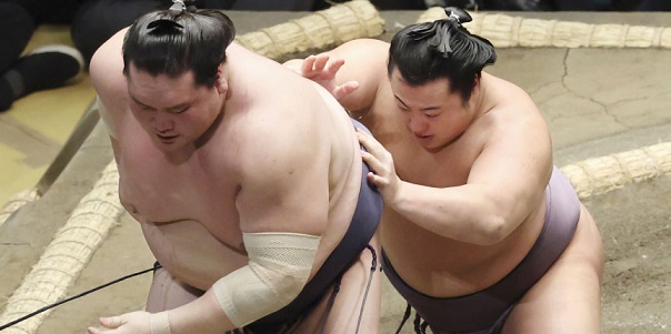 J4 – Terunofuji et Kotozakura chutent tandis que Hoshoryu reste invaincu